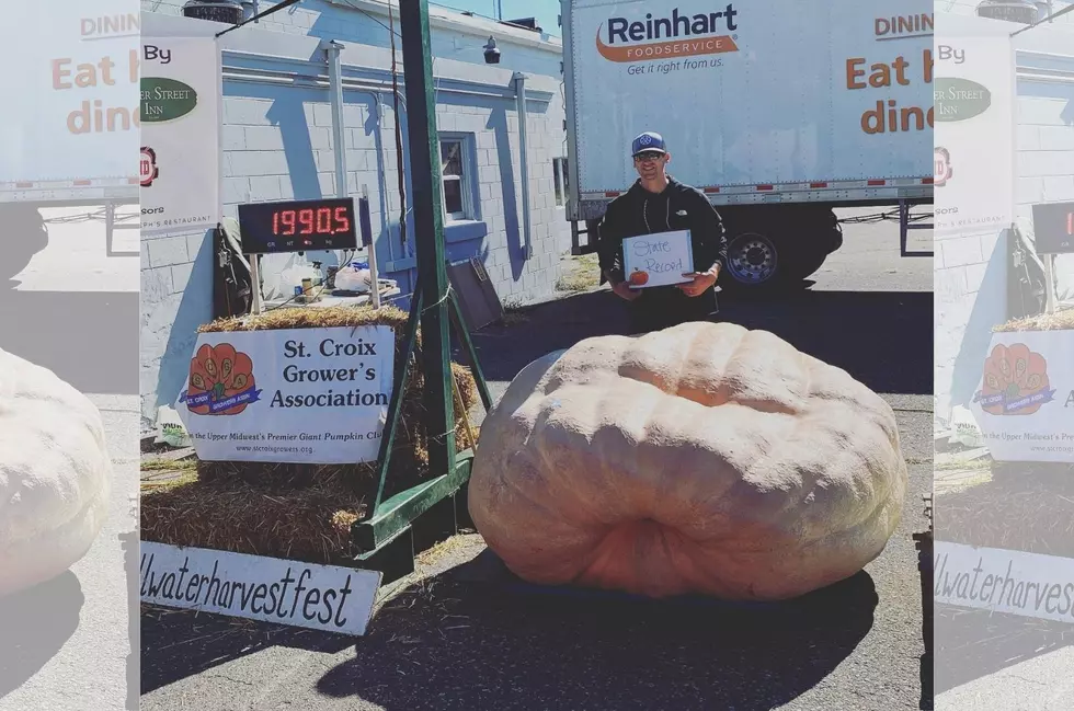 Record for Largest Pumpkin in Minnesota Broken This Weekend