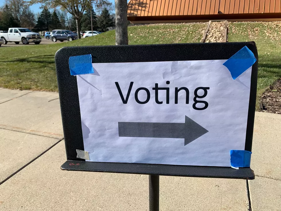 Rice County Primary Election Contains 3 Local Races