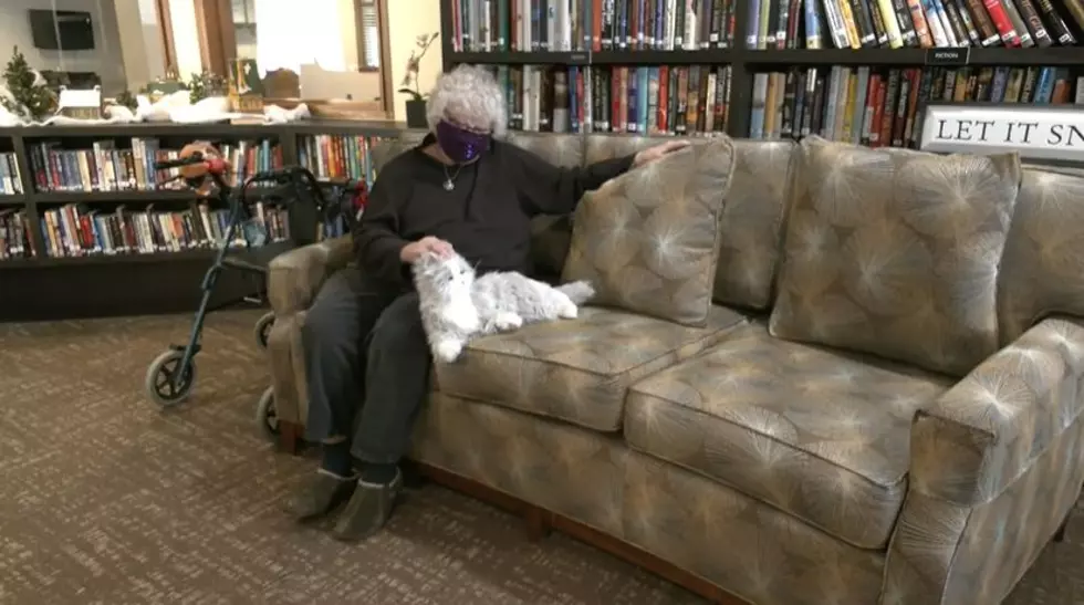 Animatronic Pets Give Minnesota Seniors Sense of Companionship