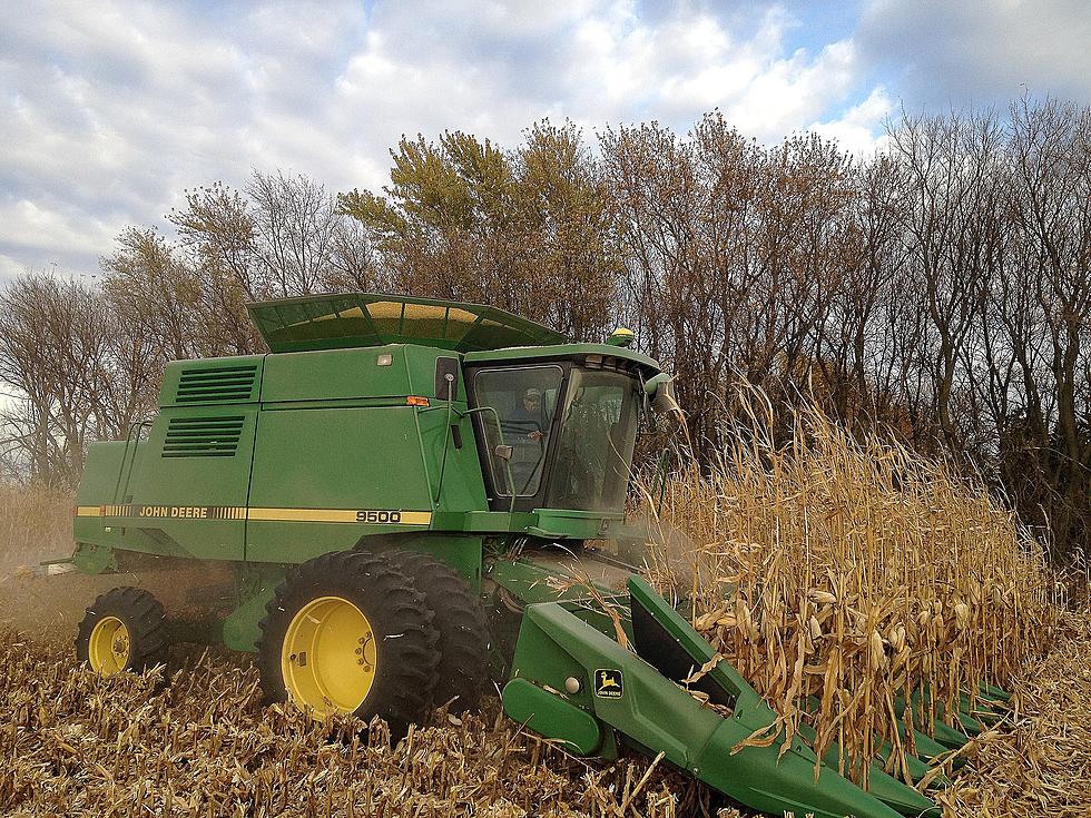 Minnesota Broker: Someone is Keeping Lid on U.S. Grain Prices [Listen]