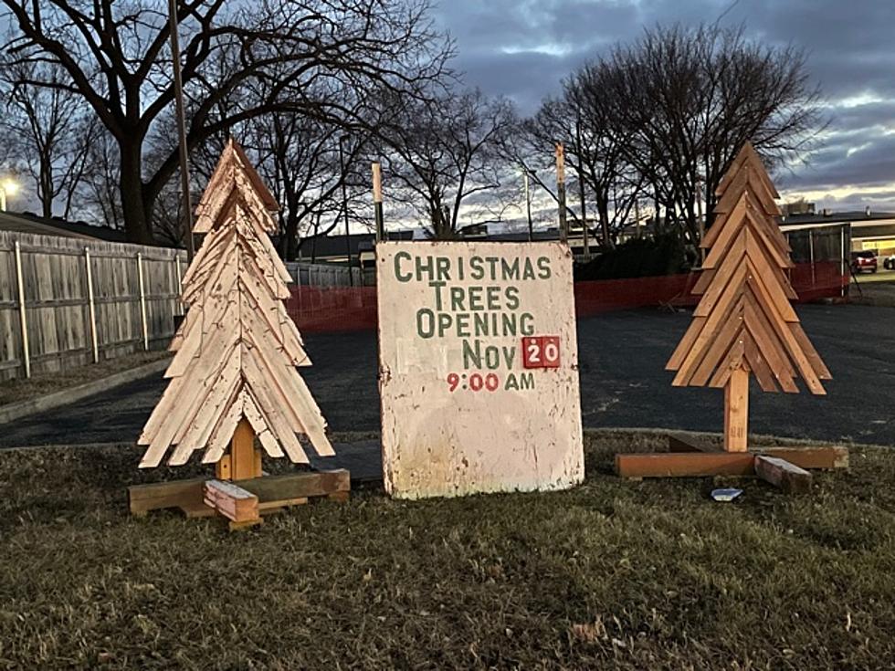Ken’s Christmas Trees Open for Season in Faribault