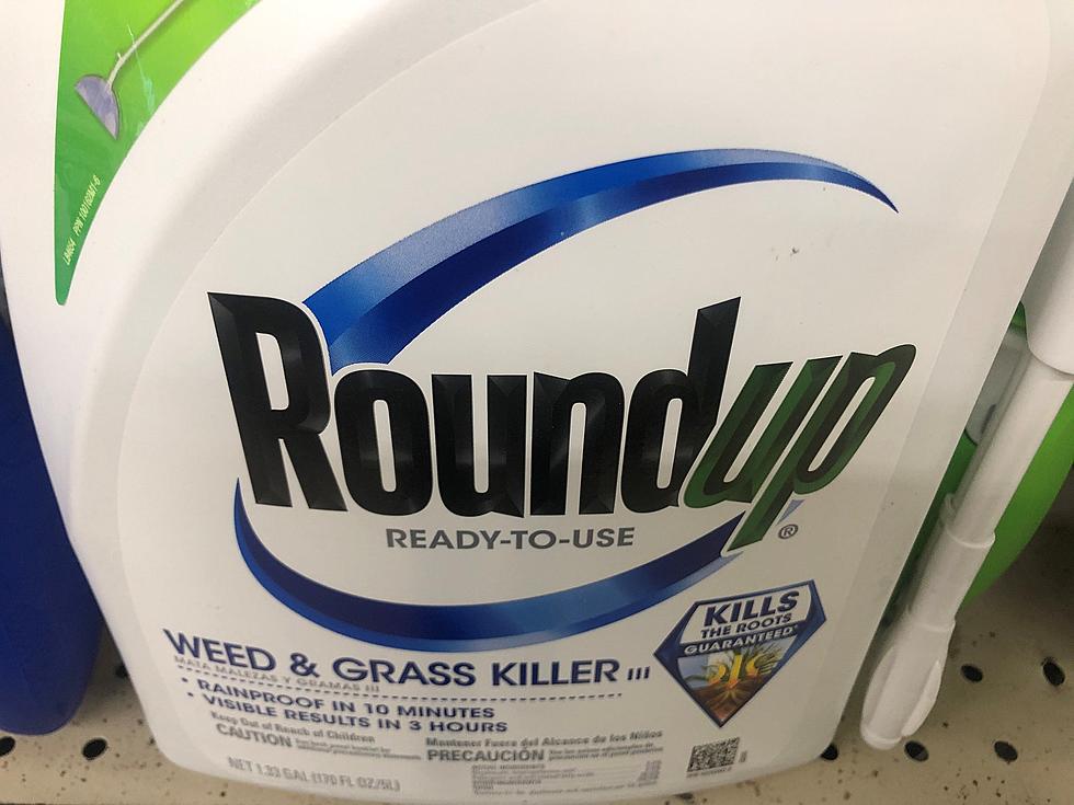 EPA To Decide On Popular Herbicide’s Availability
