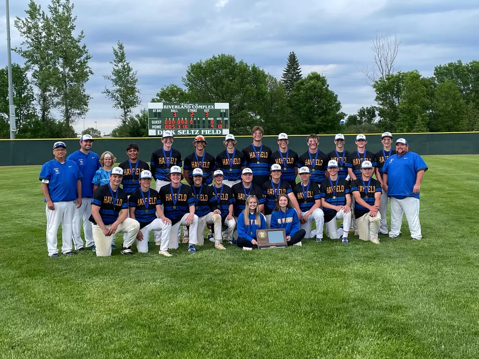 Hayfield Will Defend Class A Baseball Title at State