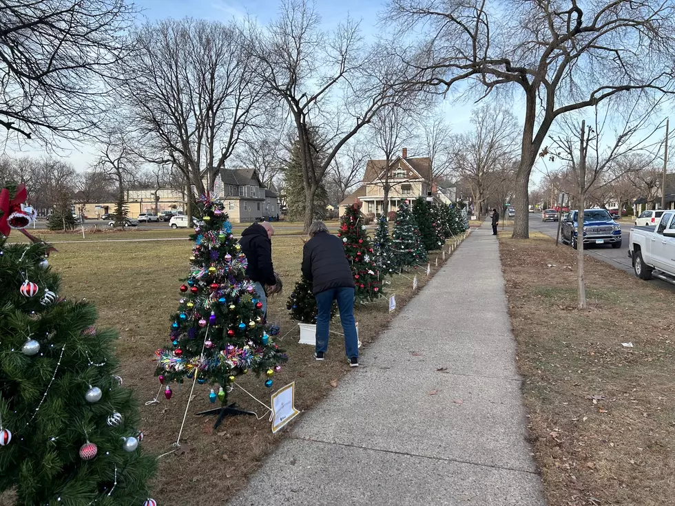 Faribault New Holiday Tradition Grows Out of COVID