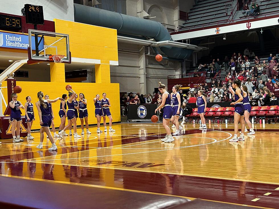 Goodhue Grit Gets Wildcats to Semifinals