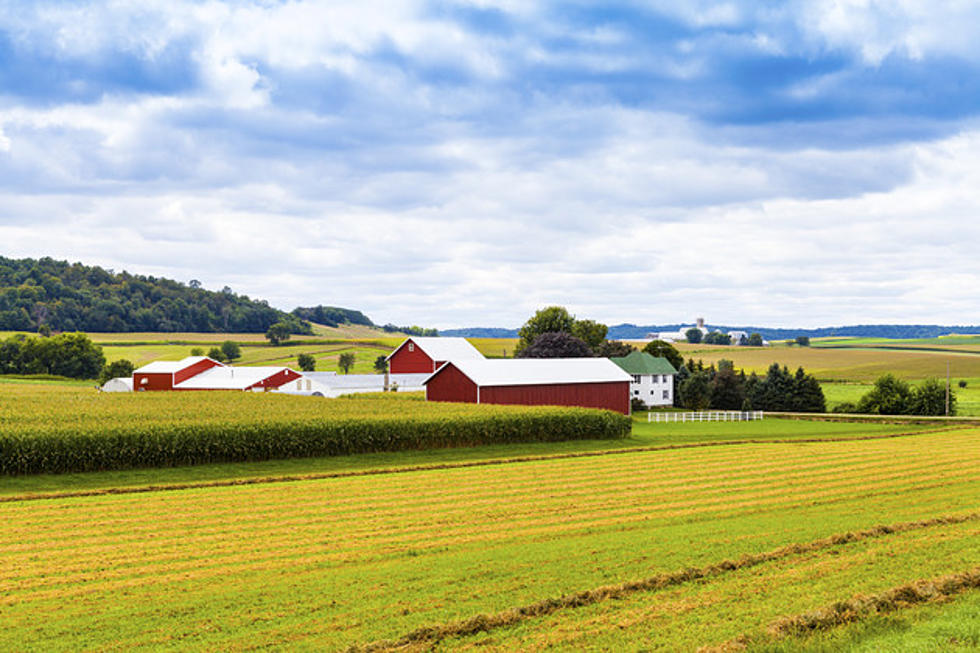 How Much Rent Should You Charge for Southern Minnesota Farmland?