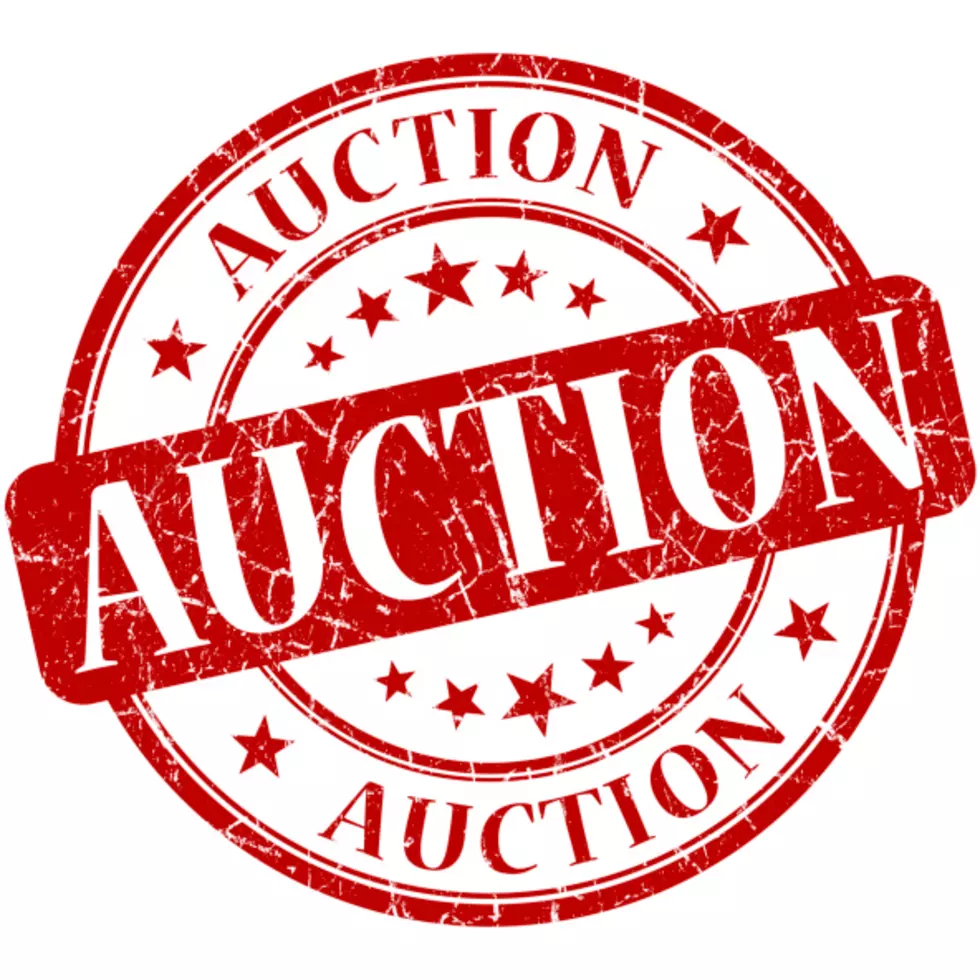Cancer Auction is This Weekend