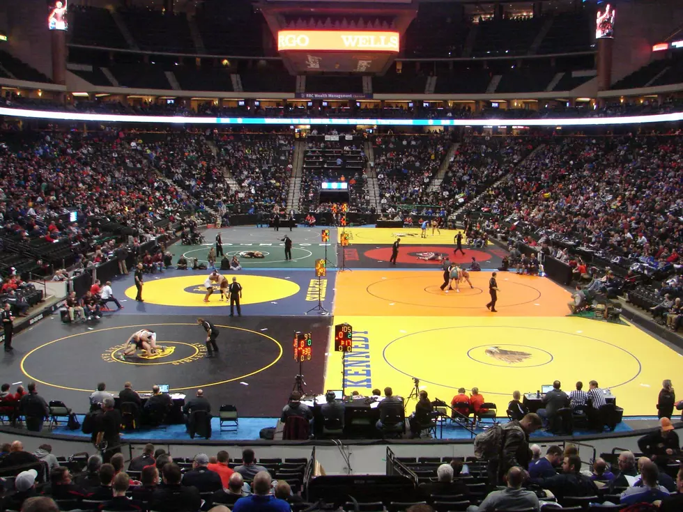 5 Things to Know for State Wrestling Tournament