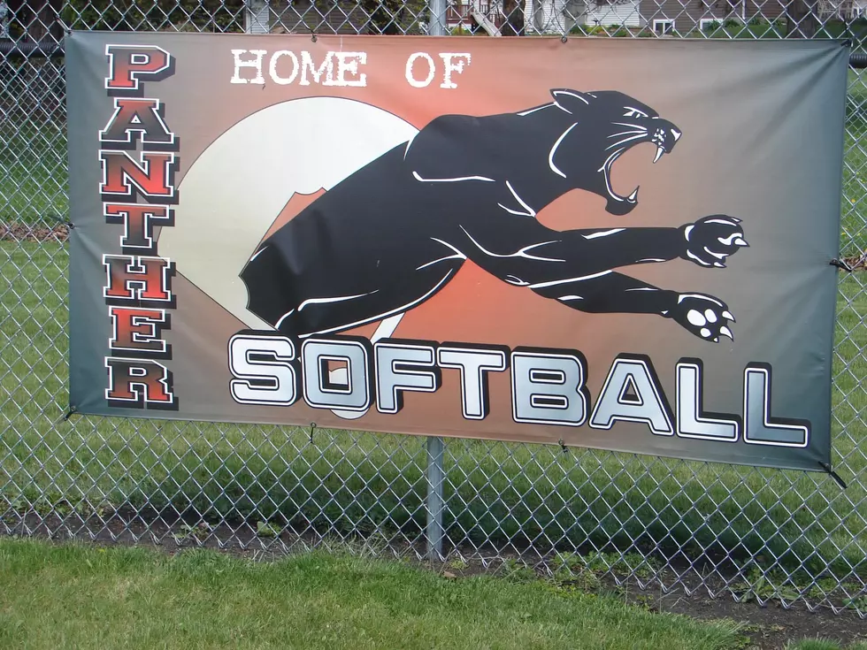 NRHEG Softball Wins in Seventh; Panther Baseball Loses in Ninth
