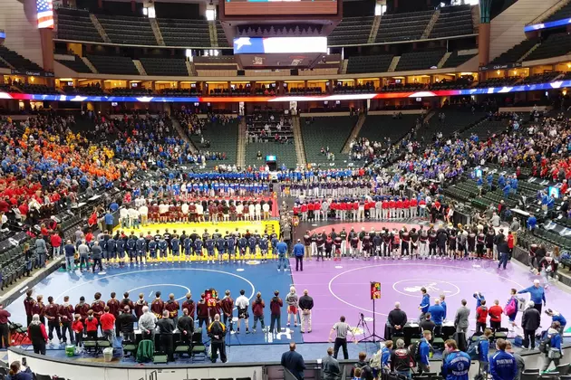 Glazier Beats King Again; Staska, Johnson Place at State Wrestling Meet