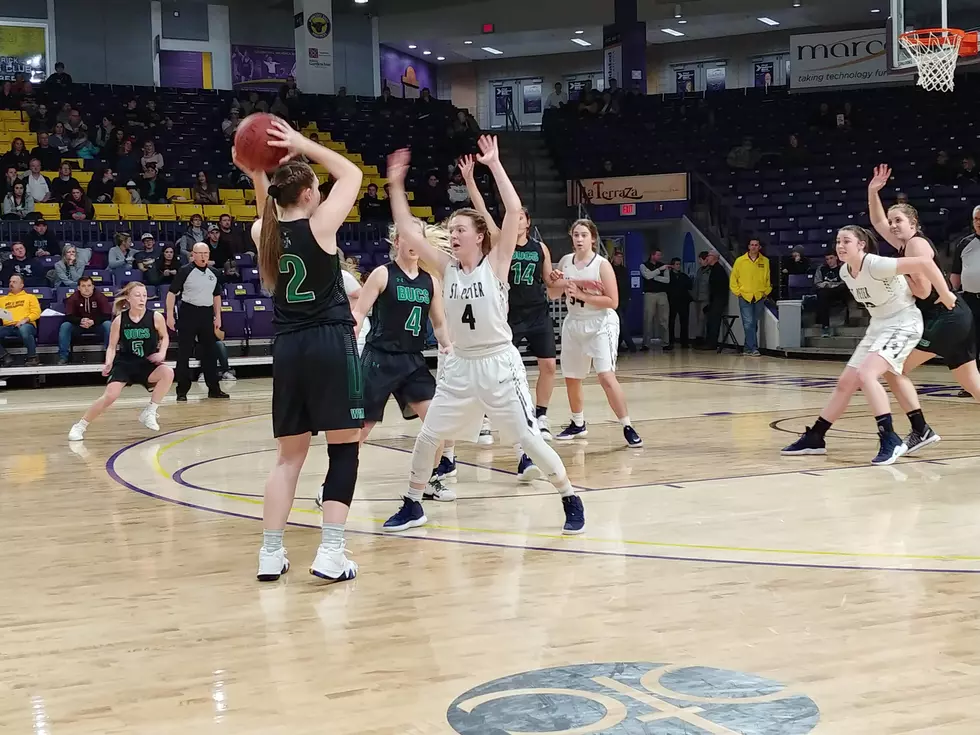 Waterville-Elysian-Morristown Upset by St. Peter in Finals
