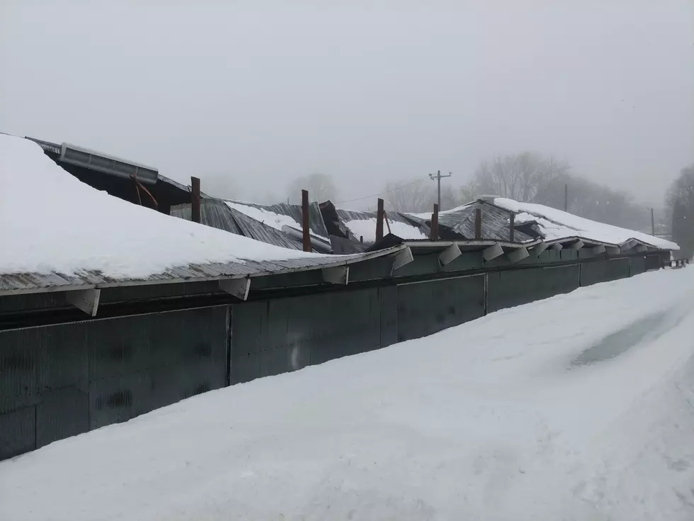Steele County Fair Barn Roof Collapses Under Heavy Snow