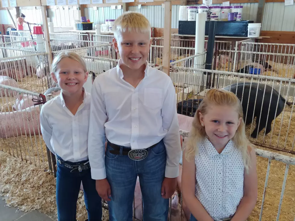 4-H Students Stay Busy