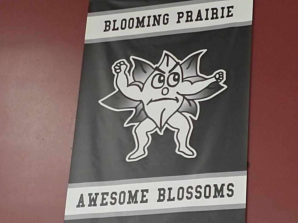 Blooming Prairie Wins with Long Ball