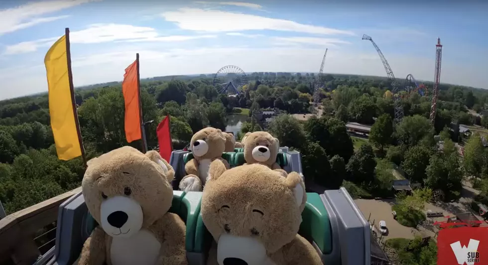 WATCH: 22 Teddy Bears Go On a Roller Coaster Ride