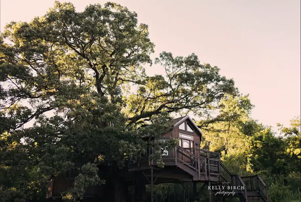 You Have Got to See This Absolutely Amazing Twin Cities Tree House