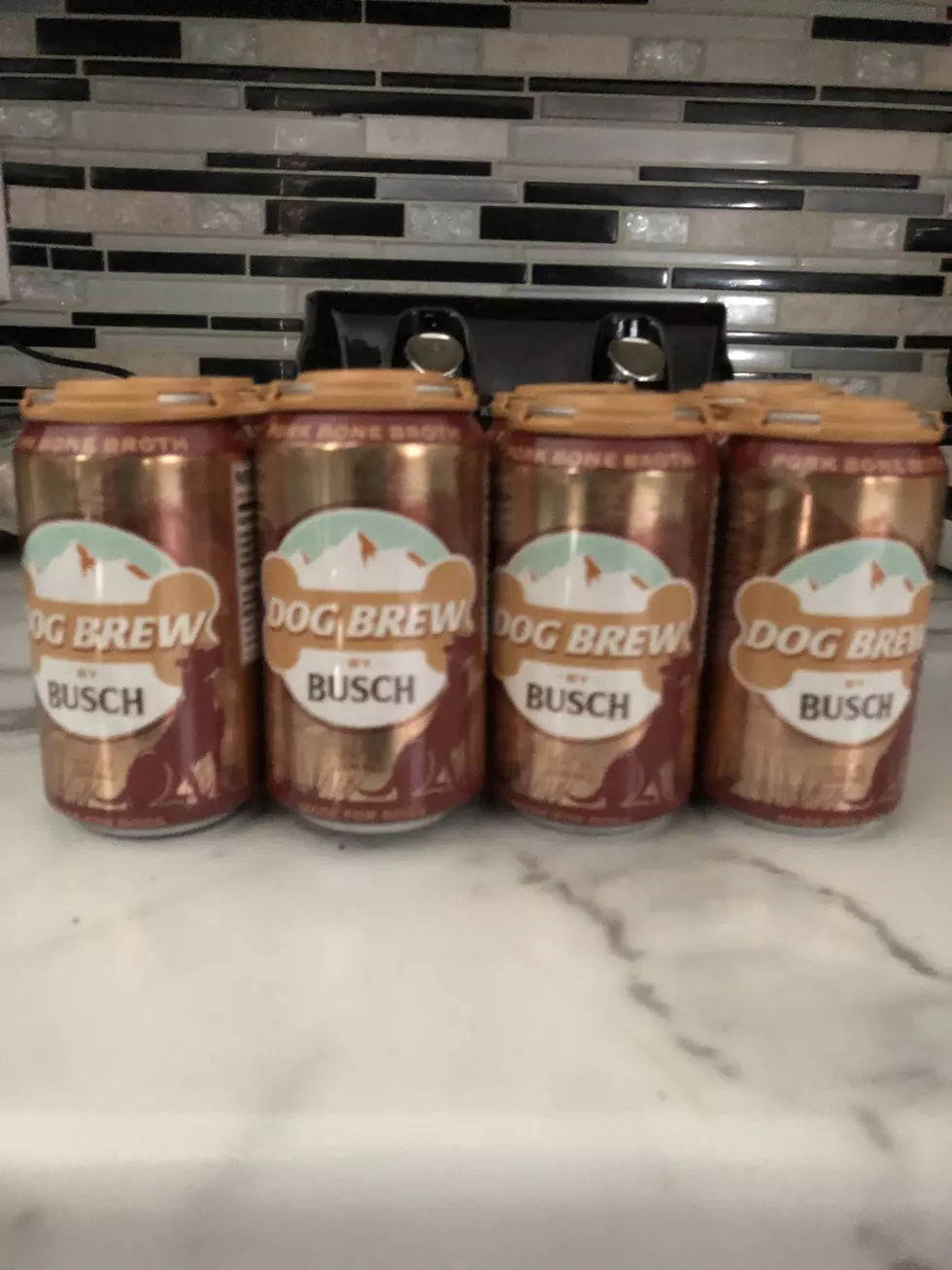 Busch Dog Brew: A Review of Busch&#8217;s Latest Release