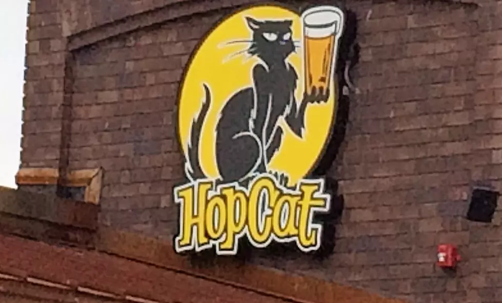 HopCat Saved From Bankruptcy, As Former Investors Buy Company