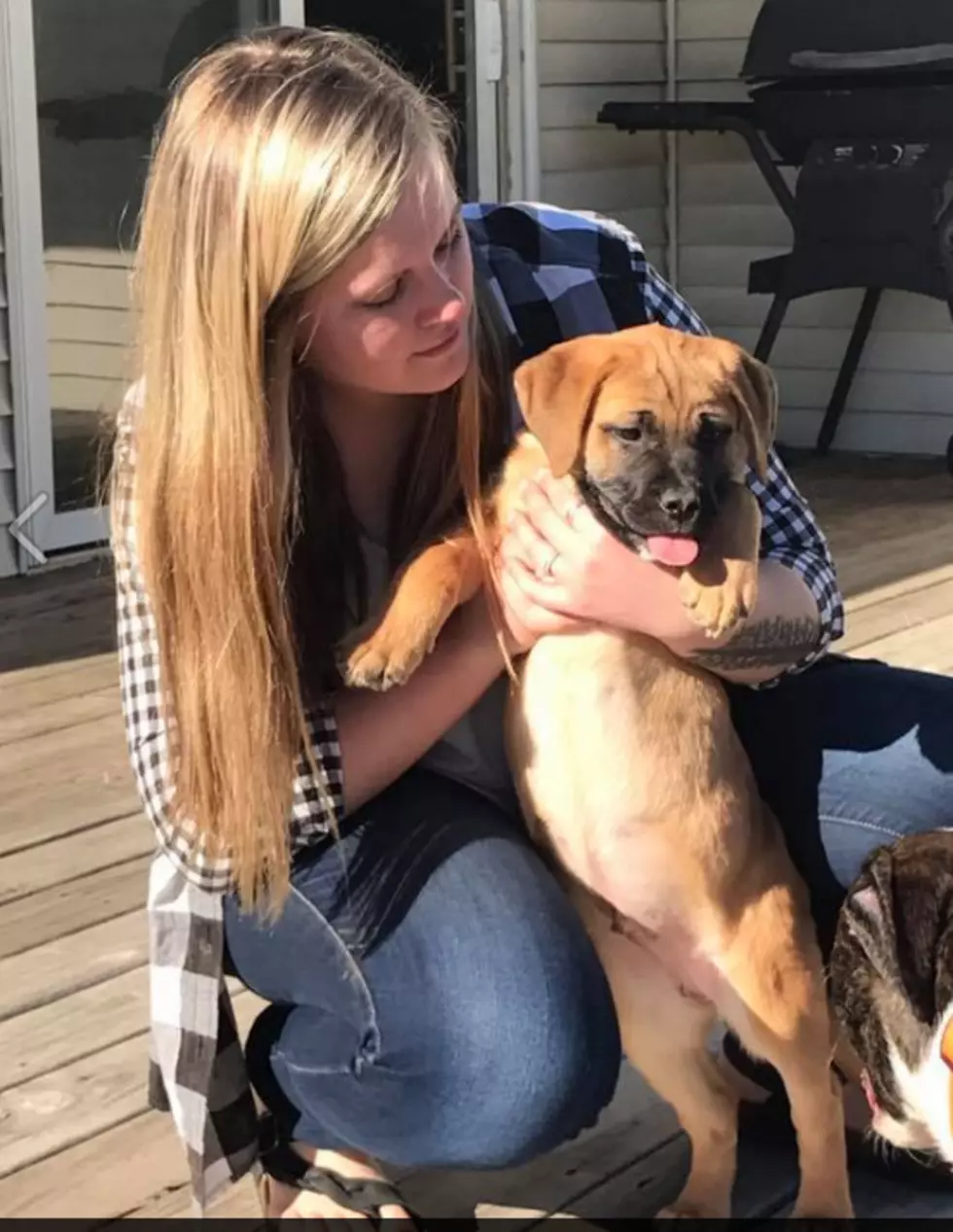 Jared From The Kalamazoo SPCA (from &#8216;Dog Days&#8217;) Has Found His Forever Home