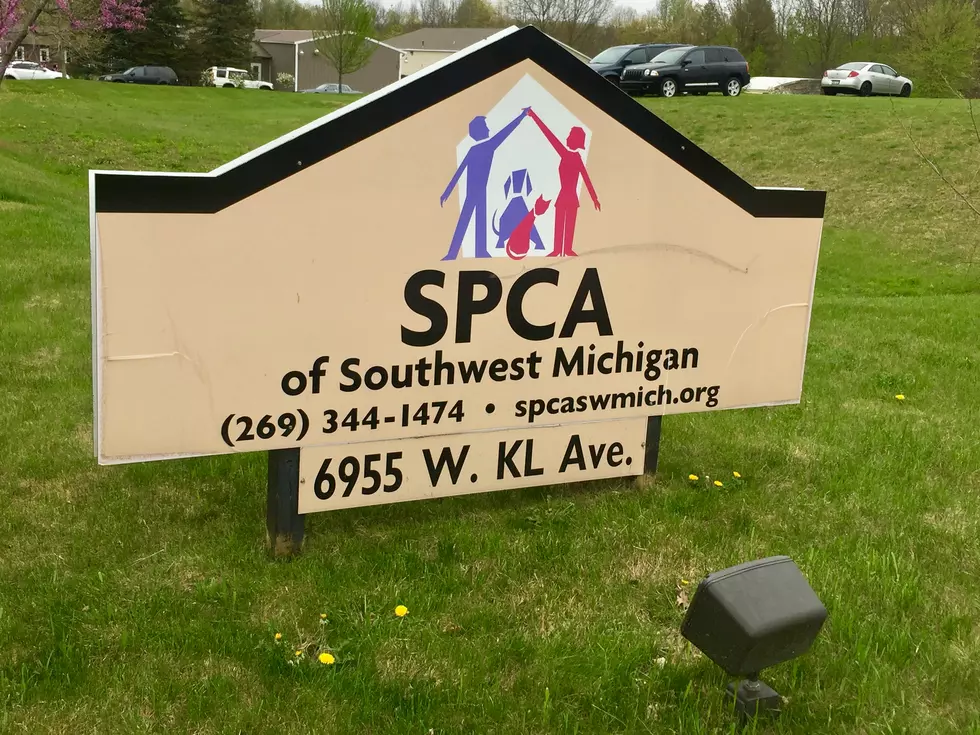 The &#8216;Empty The Shelter&#8217; Event At The SPCA Of South West Michigan Was The Place To Be This Weekend