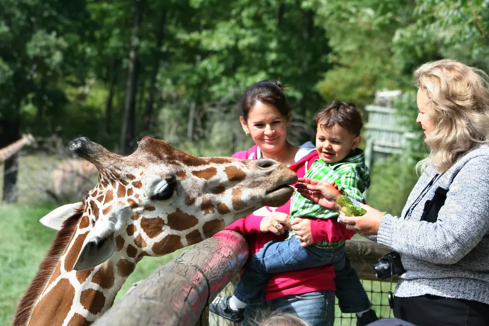 How About Mother’s Day at Binder Park Zoo
