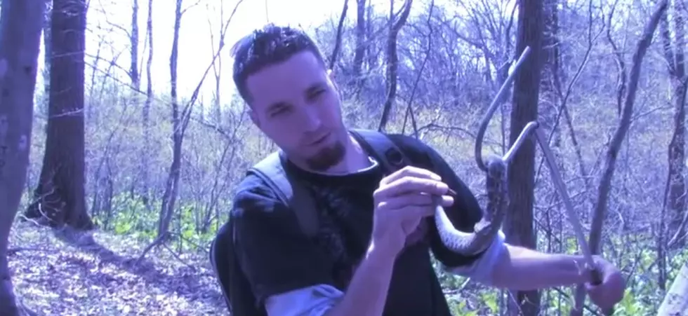 Meet the Rattlesnake that Calls Michigan Home