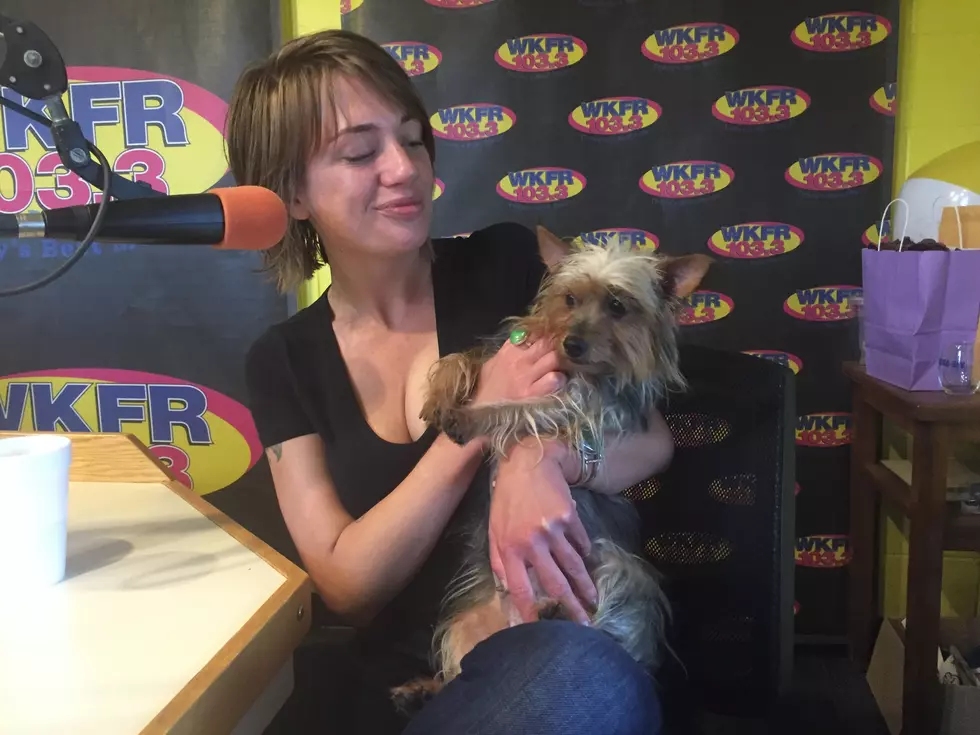 Jazzy From The SPCA Is Looking For Her Forever Home
