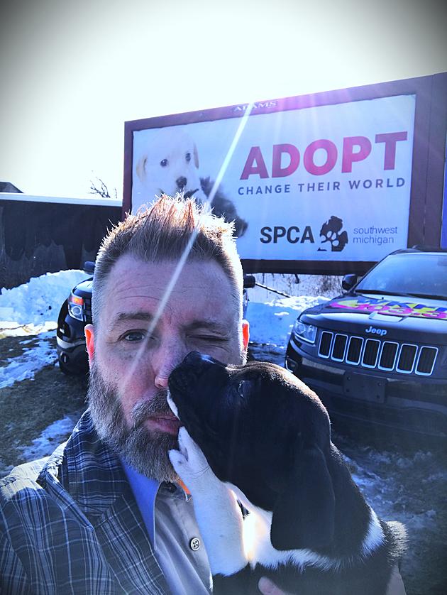 What&#8217;s Going On With The SPCA of Southwest Michigan?
