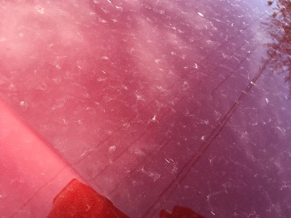 Did You Wonder Why Your Car Was So Dirty After Friday’s Rain?