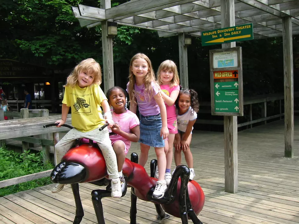 Binder Park Zoo&#8217;s Kids&#8217; Day is Saturday