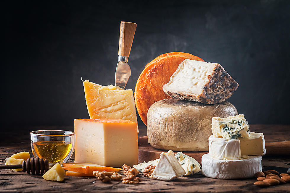 Say Cheese! Michigan’s Cheese Festival Is Almost Here