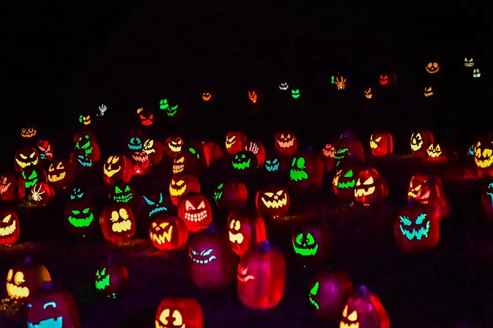 This Glowing Pumpkin Wonderland Is Only 2 1/2 Hours From Kzoo