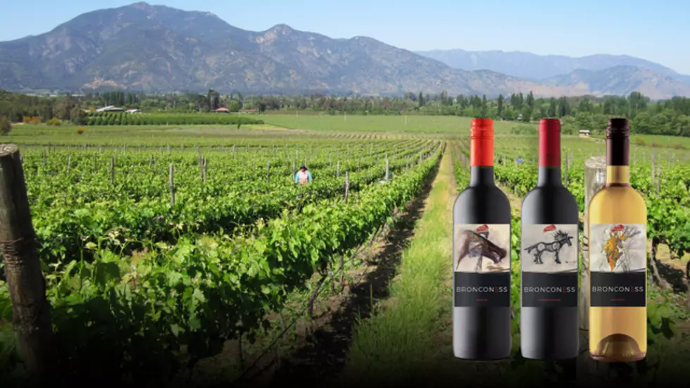 Student Project, Bronco Branded Wines &#8216;Bronconess&#8217; Debut Today