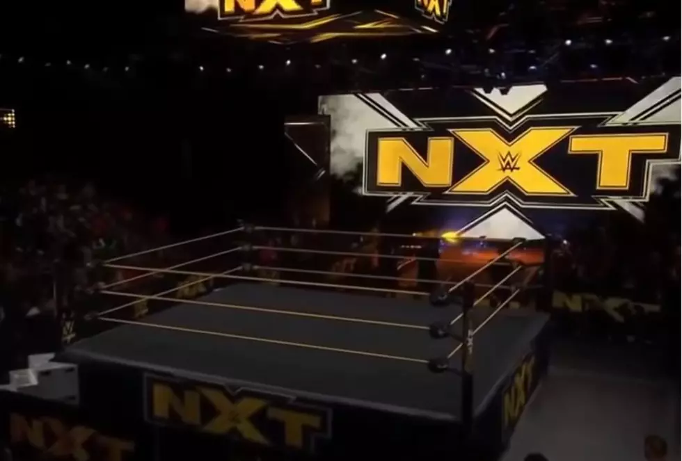 WWE’s NXT Live Is Coming To Michigan