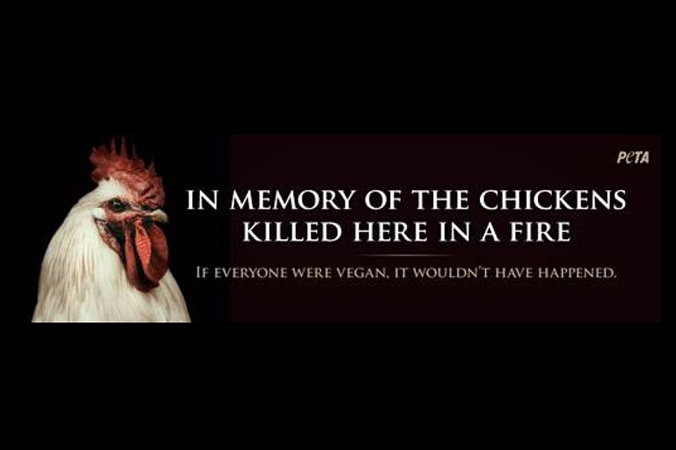 Too Soon? PETA Putting Up Billboards Remembering Dead Chickens