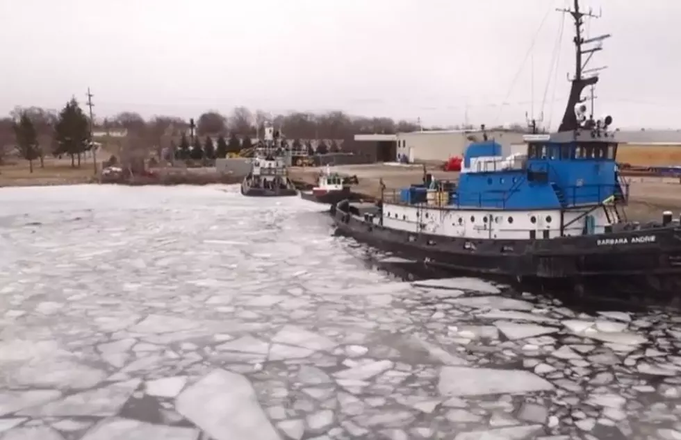 Dog Stranded Over Night On Ice In Muskegon Lake Is Rescued