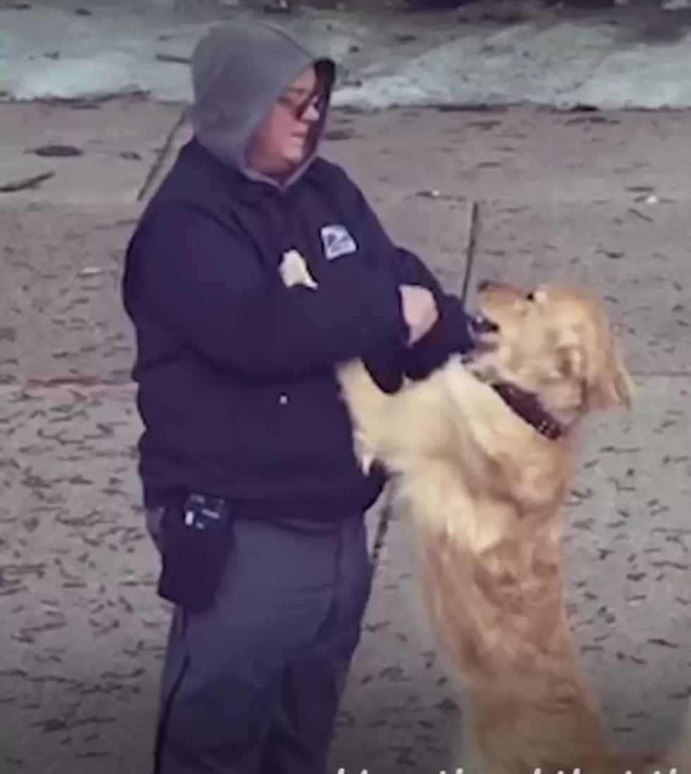 Grand Rapids Dog in Love With Mailman