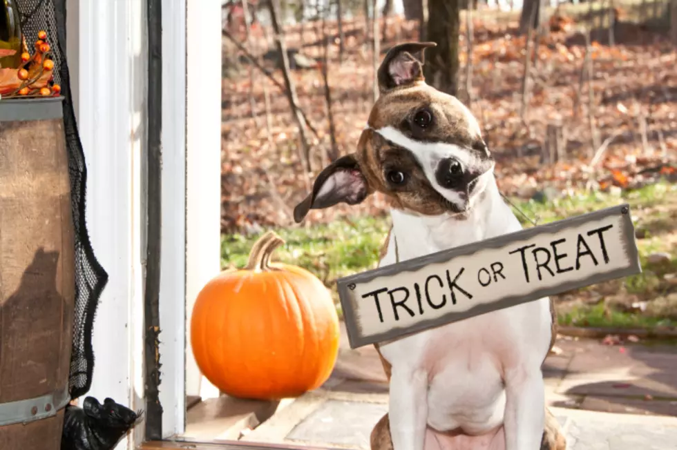 Ohio Man’s Touch-Free Trick-Or-Treat System Goes Viral
