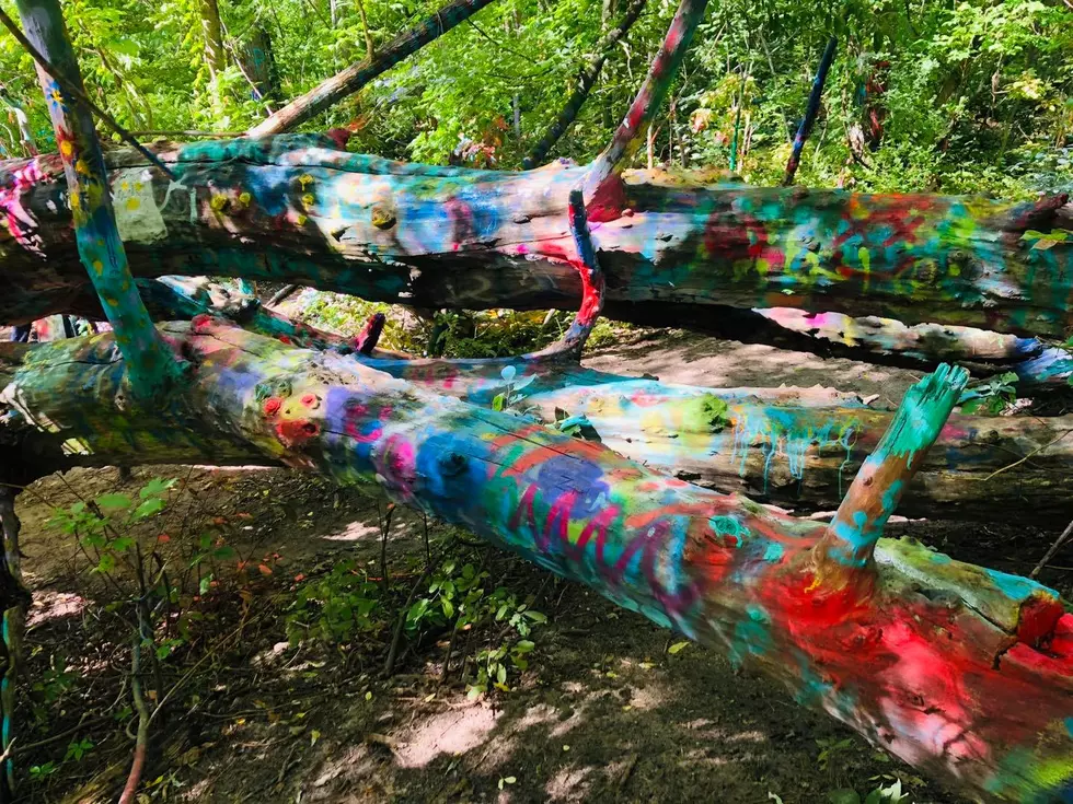 Visiting Traverse City's Hippy Tree Is A Magically Vibrant Advent