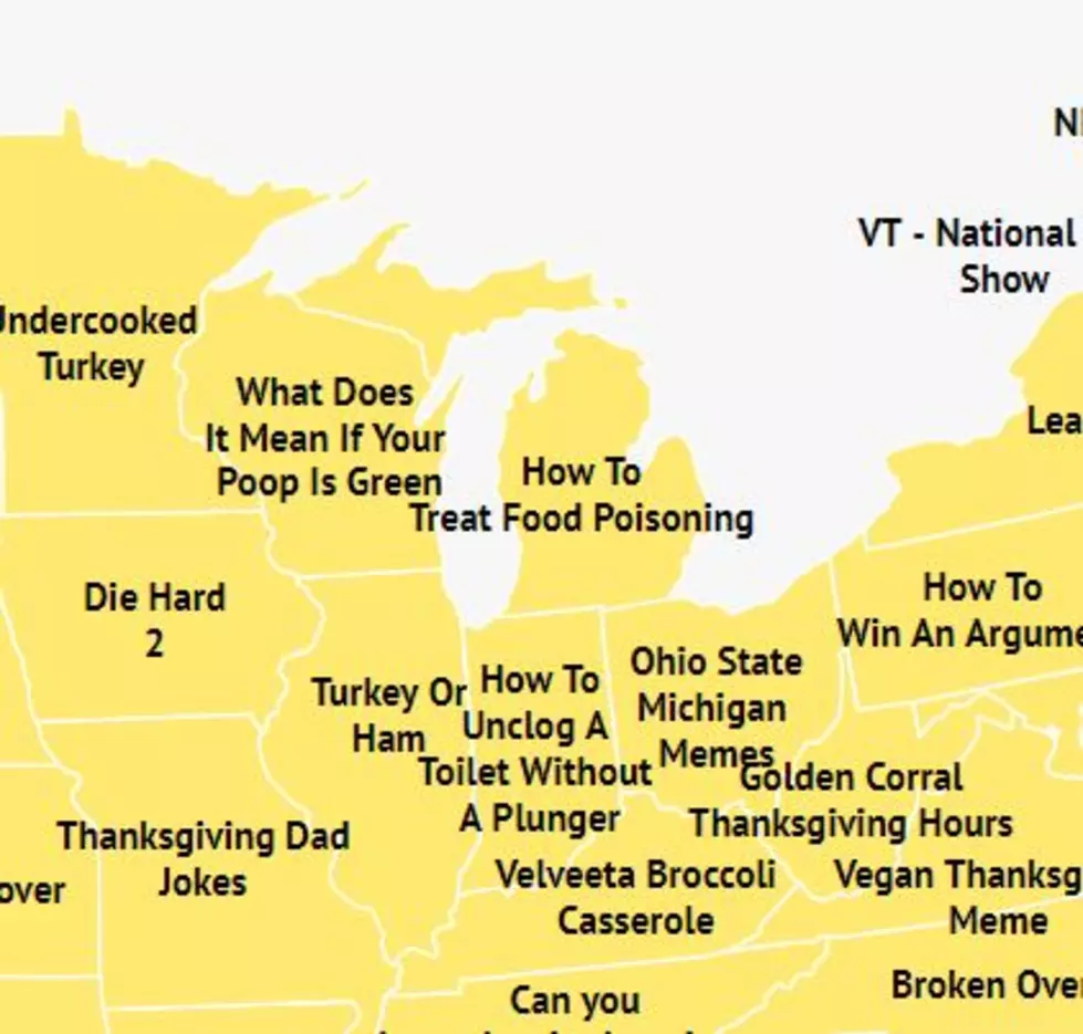 Michigan and Indiana's Thanksgiving Searches are Priceless