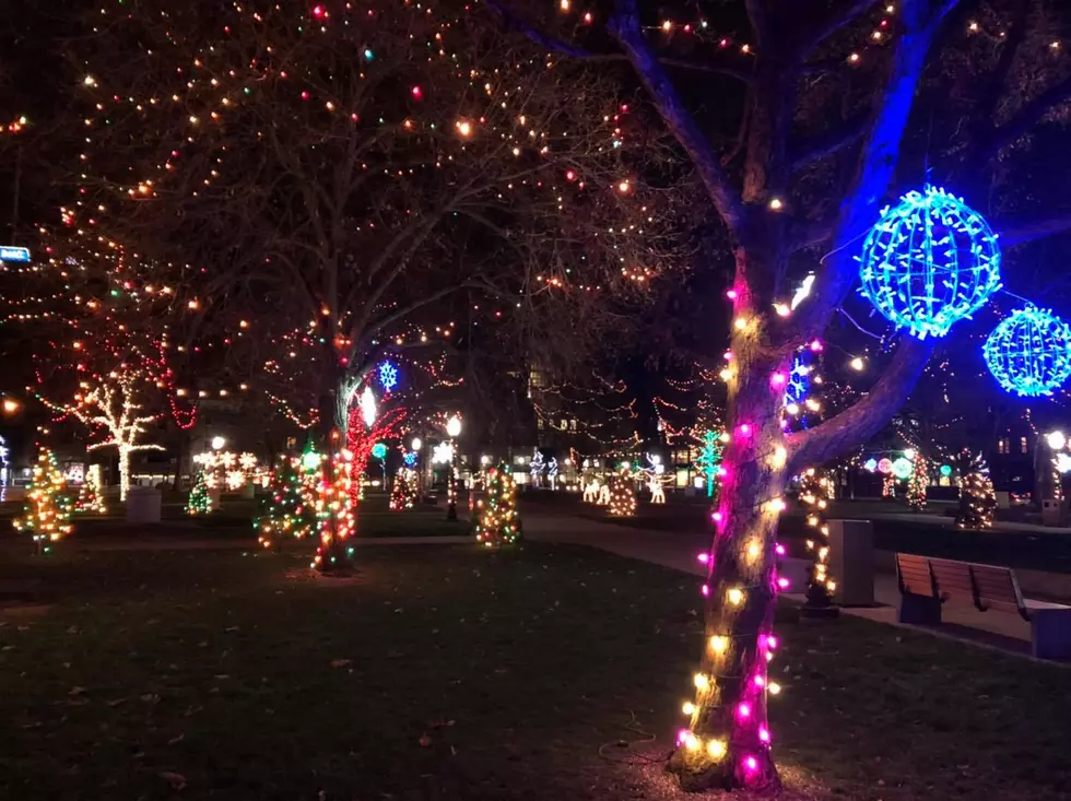 Happy Holidays, Bronson Park Is Lit Up For Christmas
