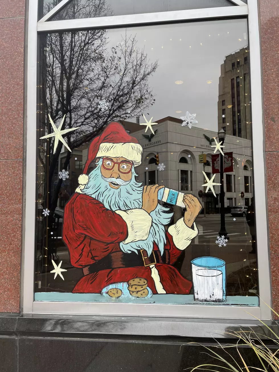 Holiday Displays in Downtown Kalamazoo - Who has the Best?