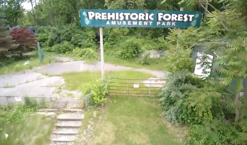 There’s An Abandoned Prehistoric Forest Near Kalamazoo