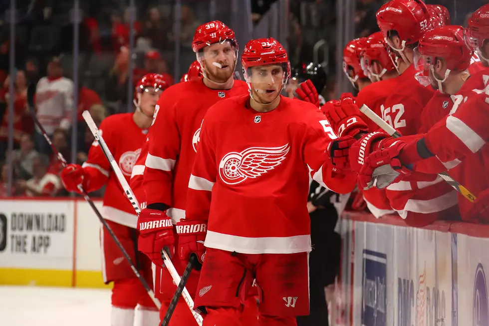 Red Wings Will Wear Ads On Their Heads This Season