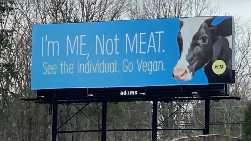 PETA Erecting A Billboard To Honor Cows Killed In I-94 Crash 