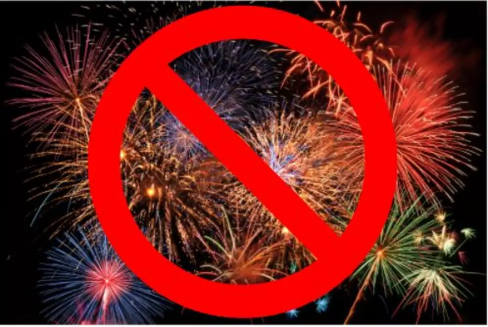 City of Battle Creek Has Banned Fireworks At Bombers Baseball Games
