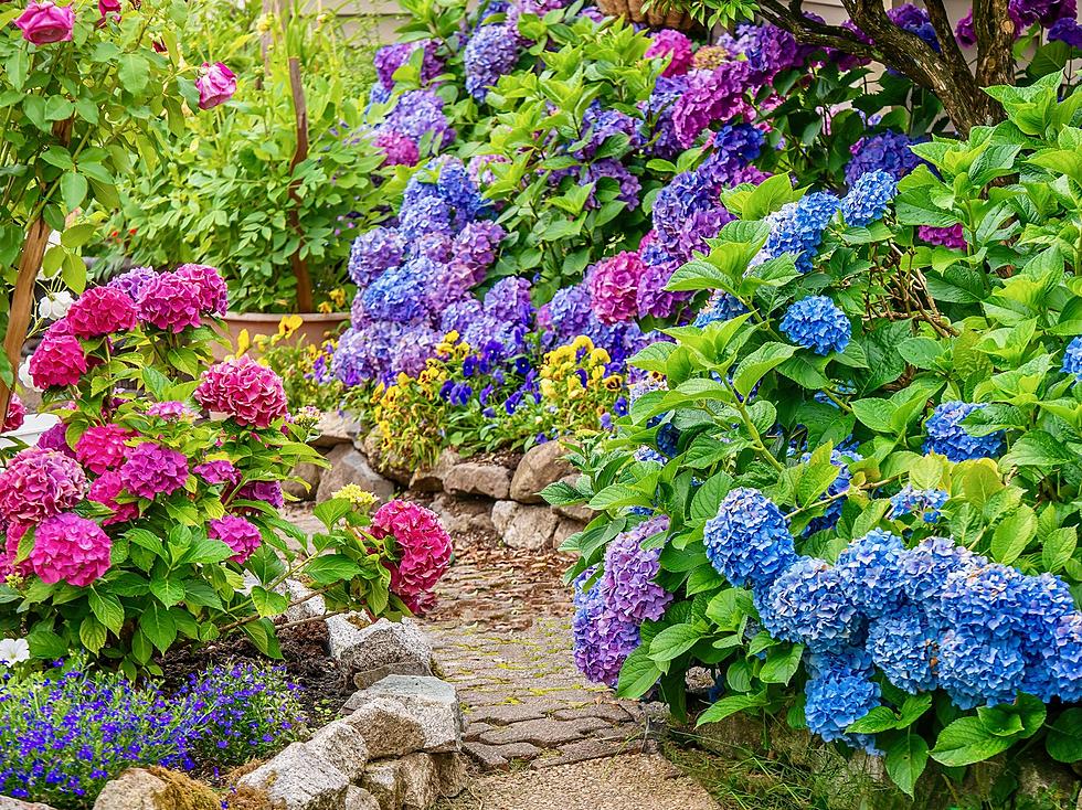 Step Up Your Plant Game With The 7 Best Nurseries in Kalamazoo
