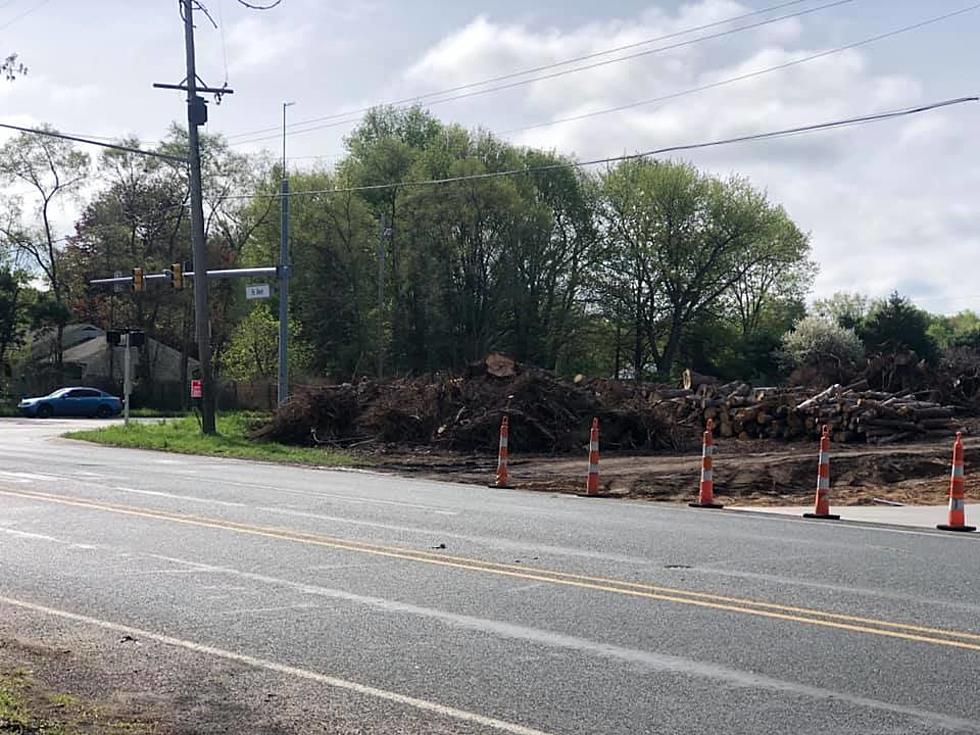Why Are Trees Being Cleared At Sprinkle & H Ave In Kalamazoo?