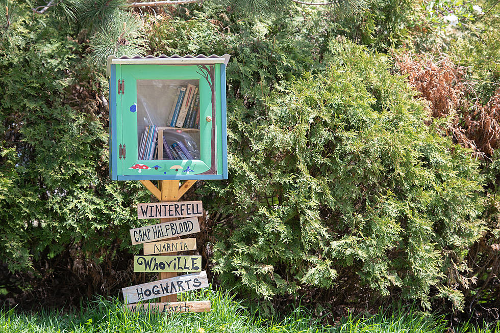 Your Kids will Love These Free Little Libraries in Kalamazoo