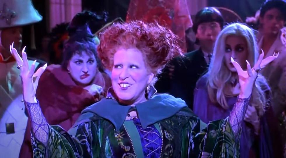 Get Witchy with Return of Hocus Pocus to Kalamazoo State Theatre